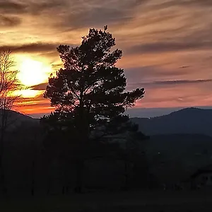 https://ferienwohnanlage-sonnenwald.com-bavaria.com